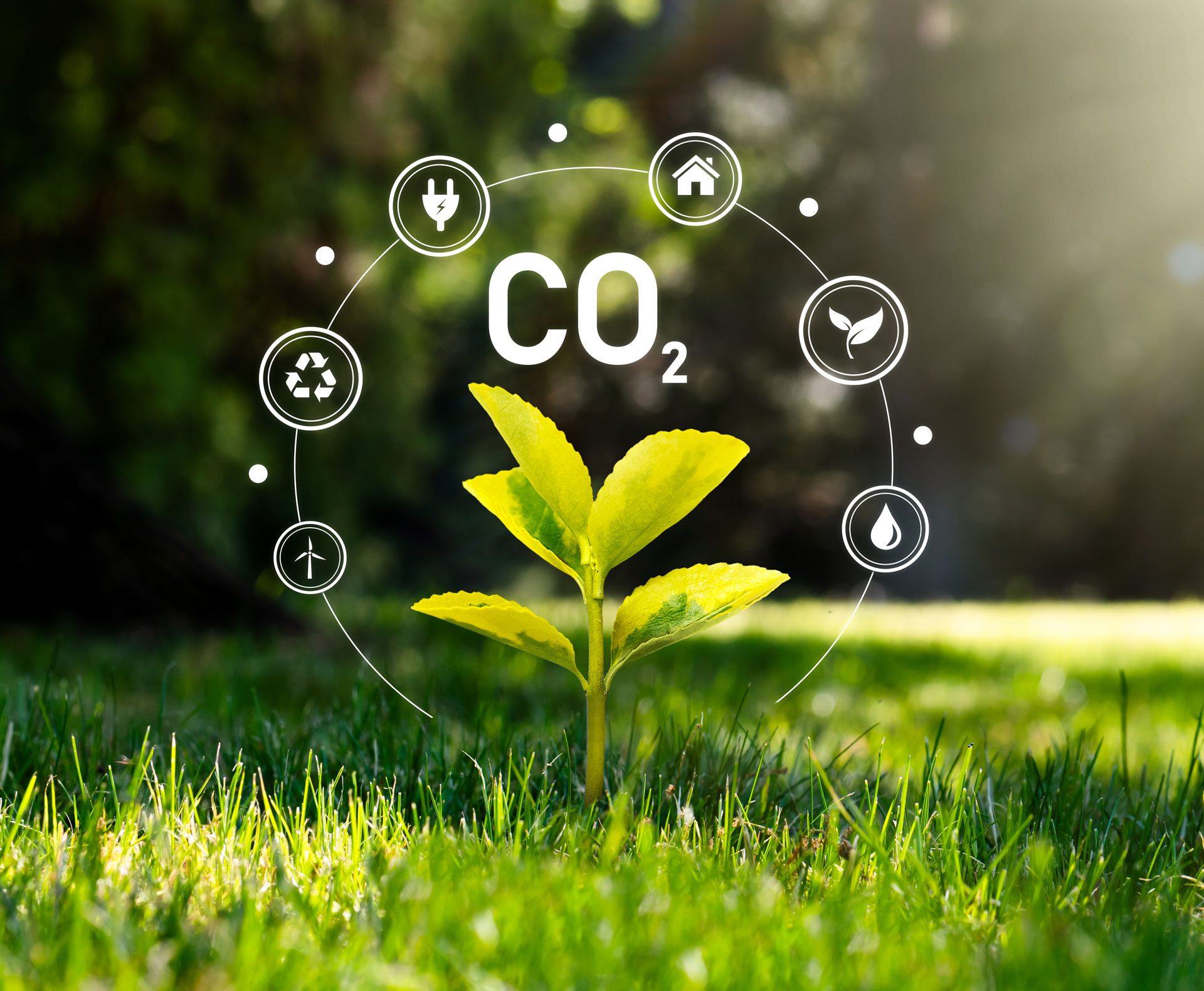 CO2 Fussabdruck in Unternehmen